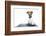 Dog Computer Pc Tablet-Javier Brosch-Framed Photographic Print