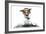 Dog Computer Pc Tablet-Javier Brosch-Framed Photographic Print