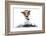 Dog Computer Pc Tablet-Javier Brosch-Framed Photographic Print