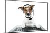 Dog Computer Pc Tablet-Javier Brosch-Mounted Photographic Print
