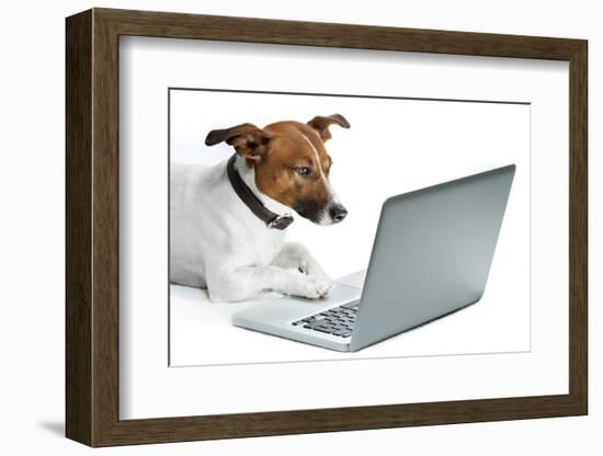 Dog Computer-Javier Brosch-Framed Photographic Print