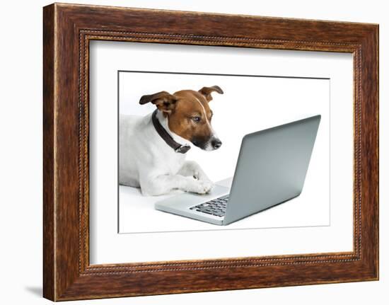 Dog Computer-Javier Brosch-Framed Photographic Print