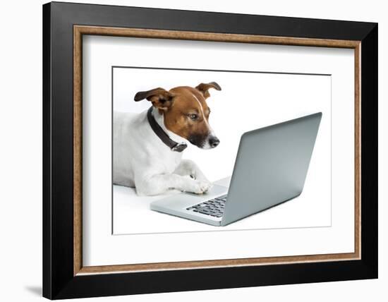 Dog Computer-Javier Brosch-Framed Photographic Print