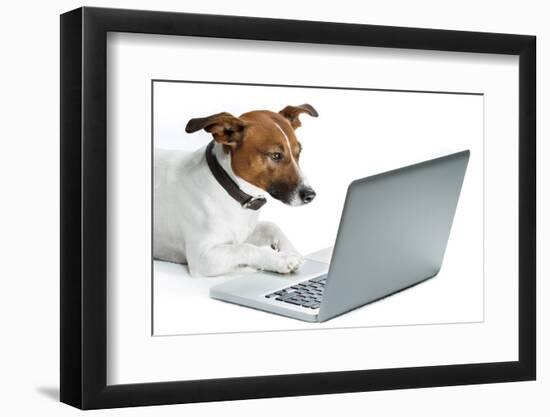 Dog Computer-Javier Brosch-Framed Photographic Print