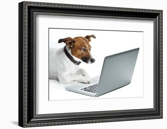 Dog Computer-Javier Brosch-Framed Photographic Print