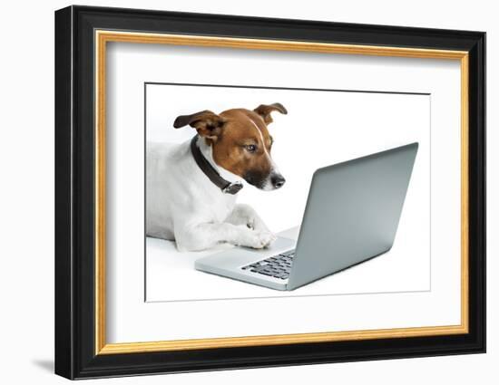 Dog Computer-Javier Brosch-Framed Photographic Print