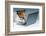 Dog Computer-Javier Brosch-Framed Photographic Print