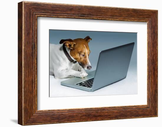 Dog Computer-Javier Brosch-Framed Photographic Print