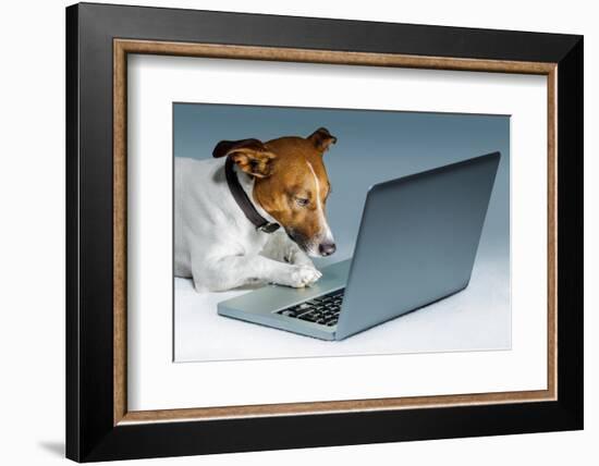 Dog Computer-Javier Brosch-Framed Photographic Print