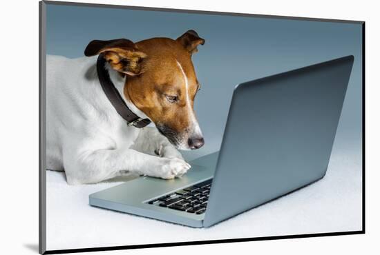 Dog Computer-Javier Brosch-Mounted Photographic Print