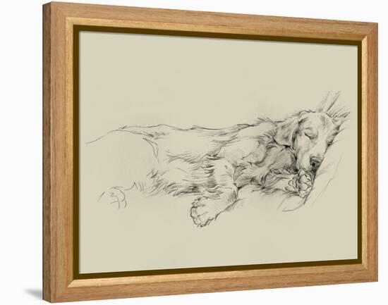 Dog Days III-Ethan Harper-Framed Stretched Canvas