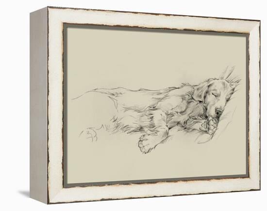 Dog Days III-Ethan Harper-Framed Stretched Canvas