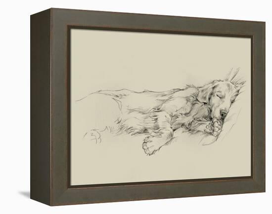 Dog Days III-Ethan Harper-Framed Stretched Canvas