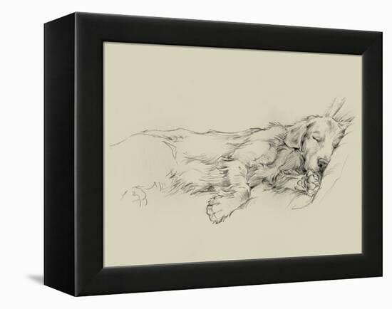 Dog Days III-Ethan Harper-Framed Stretched Canvas