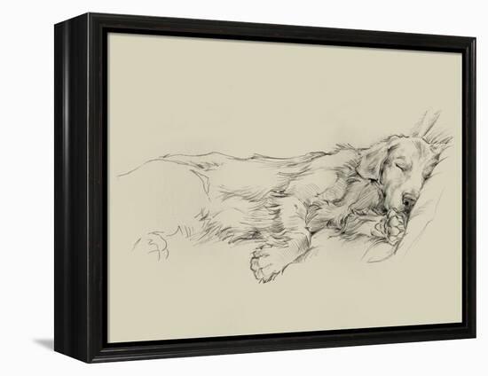 Dog Days III-Ethan Harper-Framed Stretched Canvas