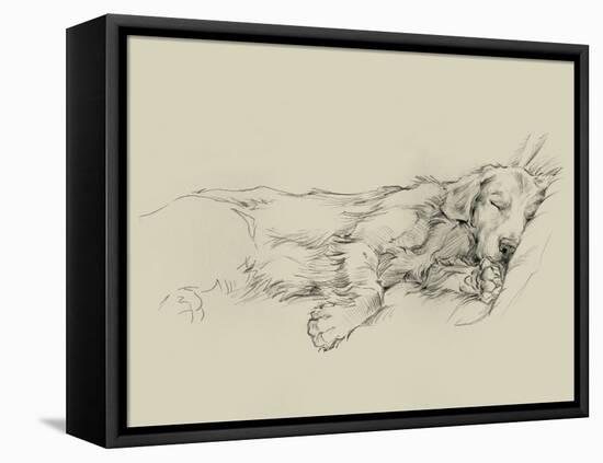 Dog Days III-Ethan Harper-Framed Stretched Canvas