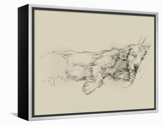 Dog Days III-Ethan Harper-Framed Stretched Canvas