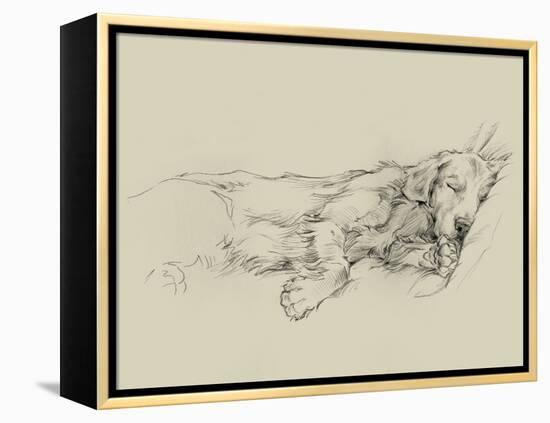 Dog Days III-Ethan Harper-Framed Stretched Canvas