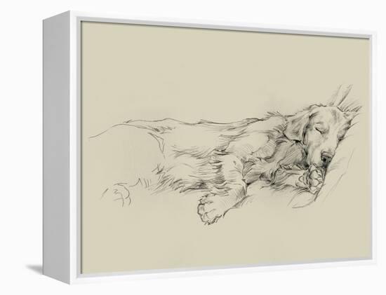 Dog Days III-Ethan Harper-Framed Stretched Canvas