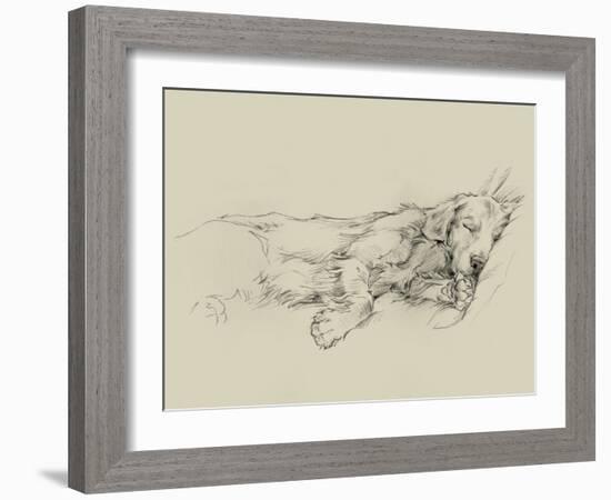 Dog Days III-Ethan Harper-Framed Art Print