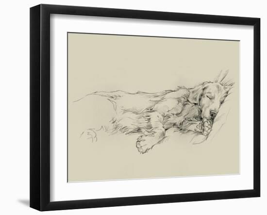 Dog Days III-Ethan Harper-Framed Art Print