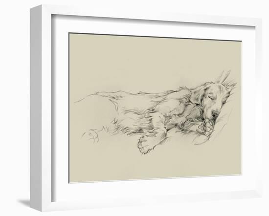 Dog Days III-Ethan Harper-Framed Art Print