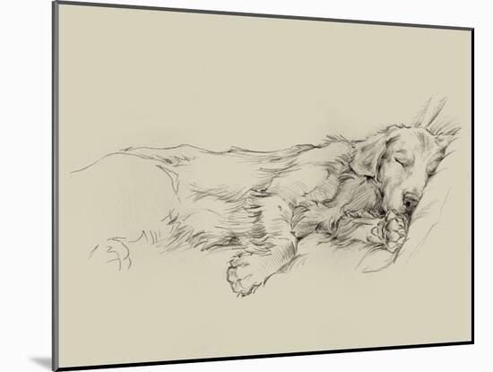 Dog Days III-Ethan Harper-Mounted Art Print