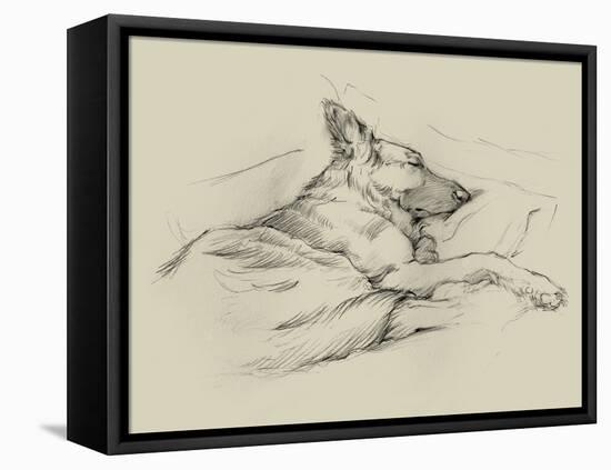 Dog Days IV-Ethan Harper-Framed Stretched Canvas