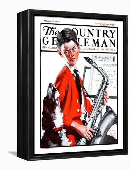 "Dog Doesn't Like Sax Sounds," Country Gentleman Cover, March 28, 1925-William Meade Prince-Framed Premier Image Canvas