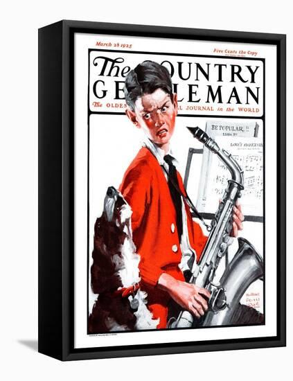"Dog Doesn't Like Sax Sounds," Country Gentleman Cover, March 28, 1925-William Meade Prince-Framed Premier Image Canvas