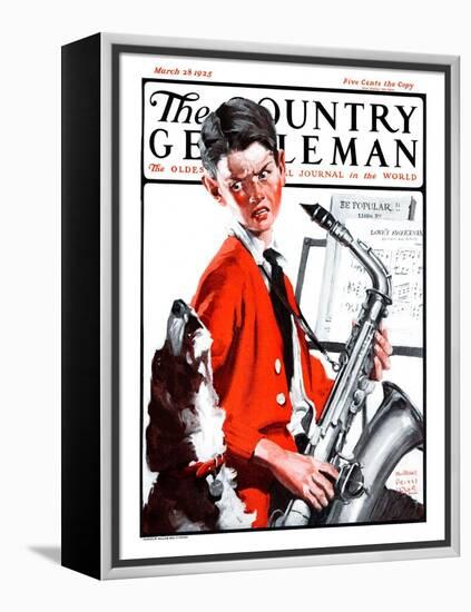 "Dog Doesn't Like Sax Sounds," Country Gentleman Cover, March 28, 1925-William Meade Prince-Framed Premier Image Canvas