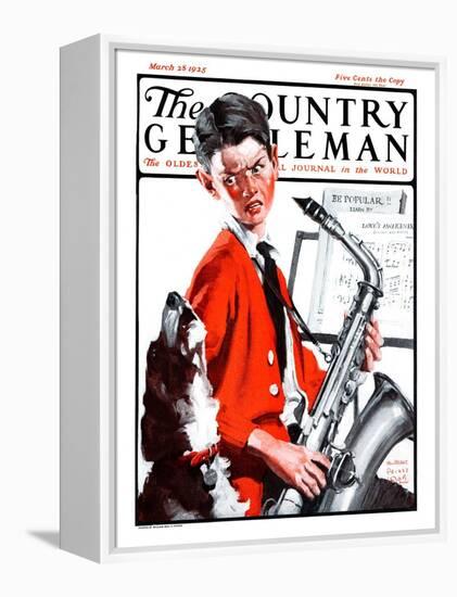 "Dog Doesn't Like Sax Sounds," Country Gentleman Cover, March 28, 1925-William Meade Prince-Framed Premier Image Canvas