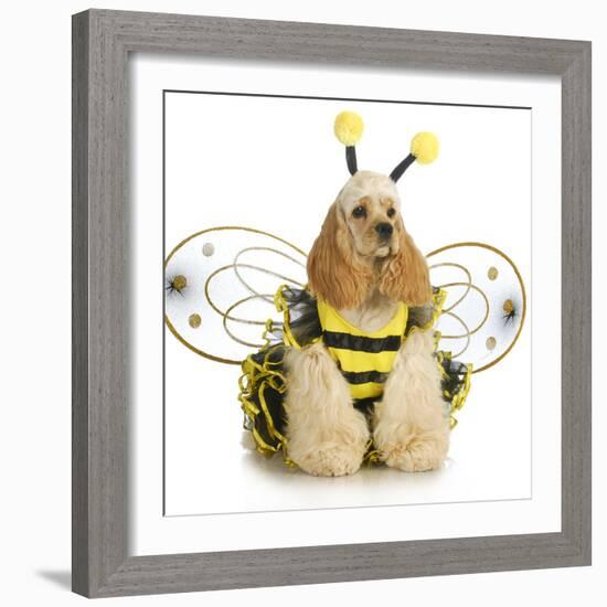 Dog Dressed Like A Bee - American Cocker Spaniel Wearing A Bumble Bee Costume-Willee Cole-Framed Photographic Print