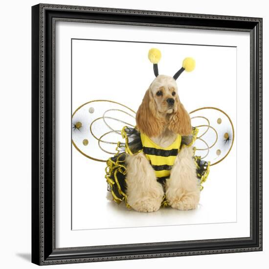 Dog Dressed Like A Bee - American Cocker Spaniel Wearing A Bumble Bee Costume-Willee Cole-Framed Photographic Print