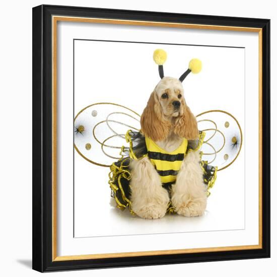 Dog Dressed Like A Bee - American Cocker Spaniel Wearing A Bumble Bee Costume-Willee Cole-Framed Photographic Print