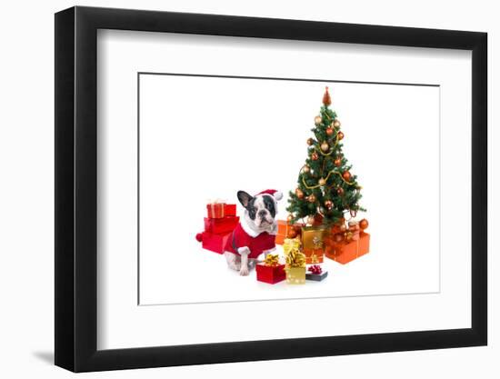 Dog Dressed Up in Santa Costume under Christmas Tree-Patryk Kosmider-Framed Photographic Print