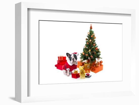 Dog Dressed Up in Santa Costume under Christmas Tree-Patryk Kosmider-Framed Photographic Print