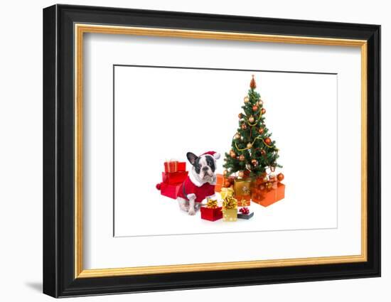 Dog Dressed Up in Santa Costume under Christmas Tree-Patryk Kosmider-Framed Photographic Print