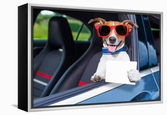 Dog Drivers License-Javier Brosch-Framed Premier Image Canvas