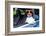 Dog Drivers License-Javier Brosch-Framed Photographic Print