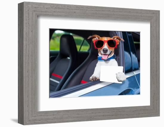 Dog Drivers License-Javier Brosch-Framed Photographic Print