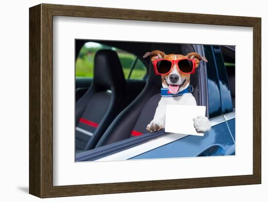 Dog Drivers License-Javier Brosch-Framed Photographic Print