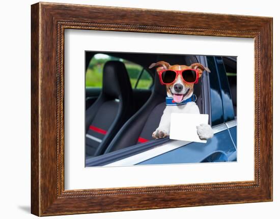 Dog Drivers License-Javier Brosch-Framed Photographic Print