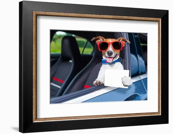 Dog Drivers License-Javier Brosch-Framed Photographic Print