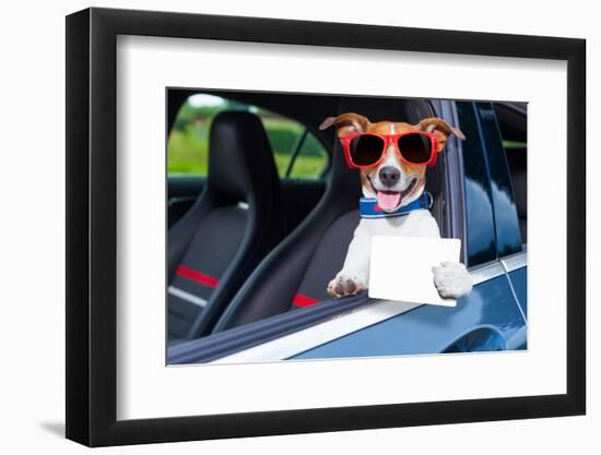 Dog Drivers License-Javier Brosch-Framed Photographic Print