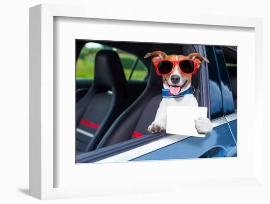 Dog Drivers License-Javier Brosch-Framed Photographic Print