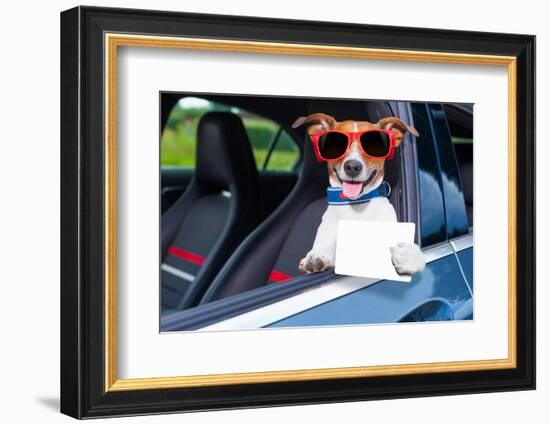 Dog Drivers License-Javier Brosch-Framed Photographic Print