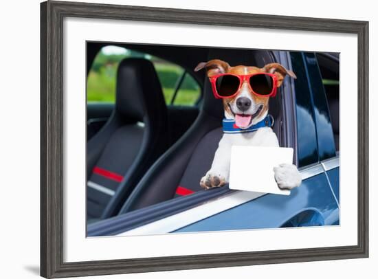 Dog Drivers License-Javier Brosch-Framed Photographic Print