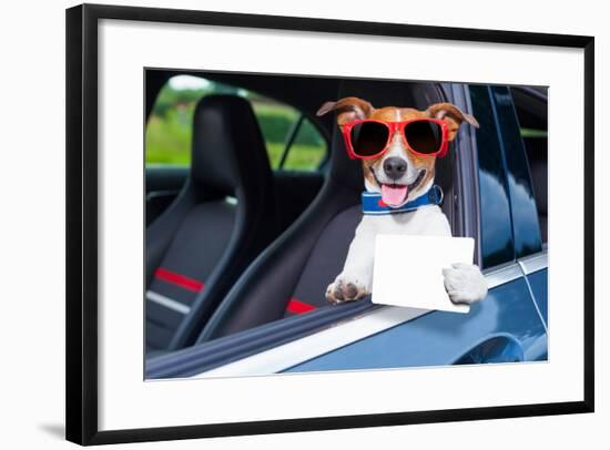 Dog Drivers License-Javier Brosch-Framed Photographic Print