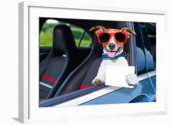 Dog Drivers License-Javier Brosch-Framed Photographic Print